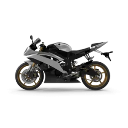 Generic Motorcycle (Multi-variant)