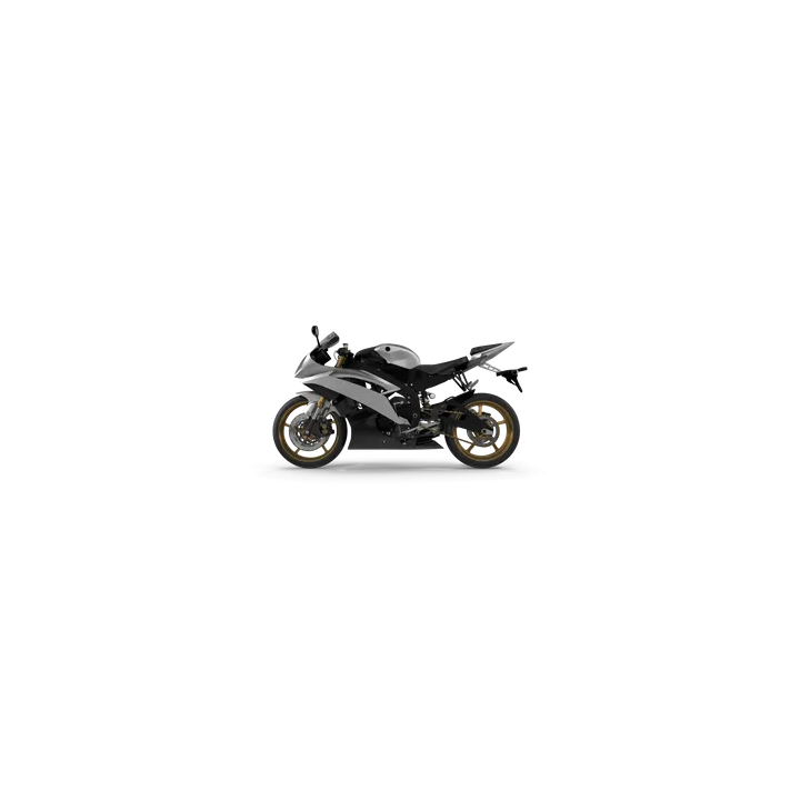 Generic Motorcycle (Multi-variant)
