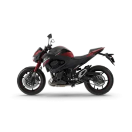 Kawasaki Z800 (Multi-variant)