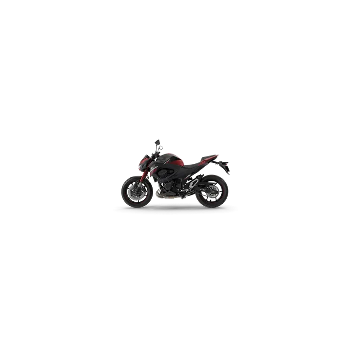 Kawasaki Z800 (Multi-variant)
