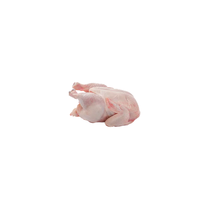 Chicken Meat