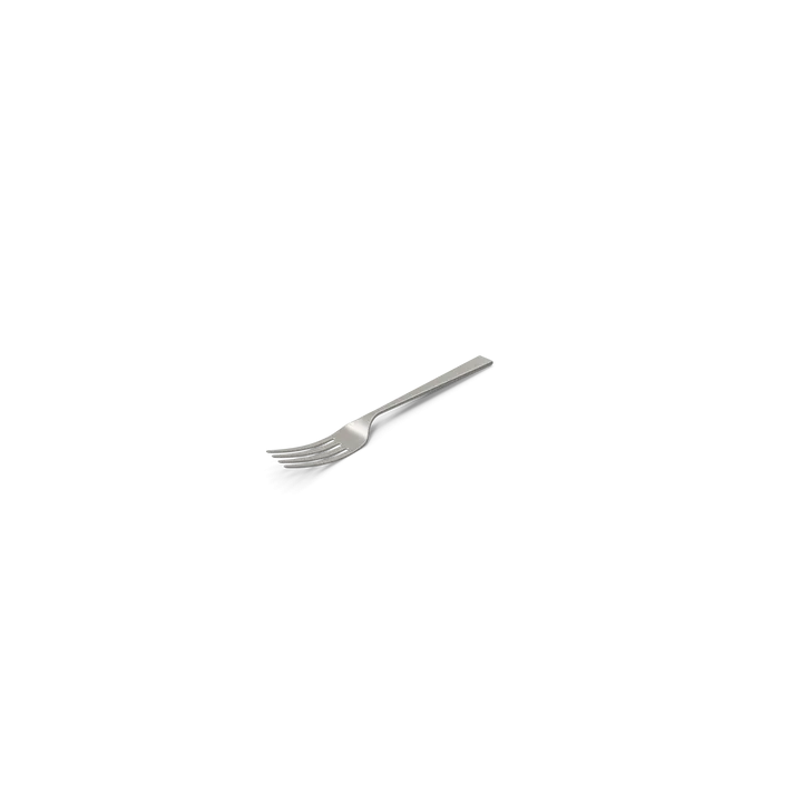 Fork