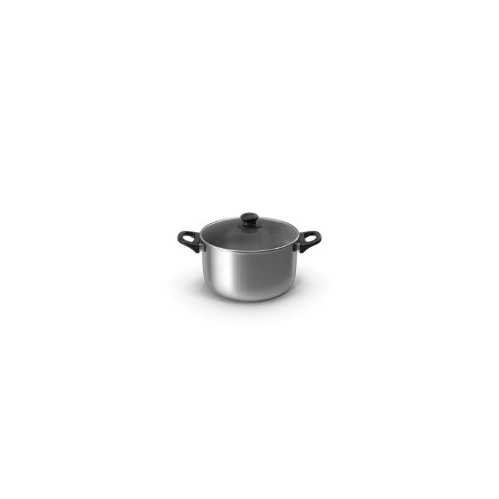 Silver Pot With Glass Cap